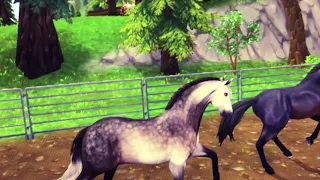 Western vs dressage! Starstable