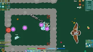 “Does snail auto?” | Starve.io