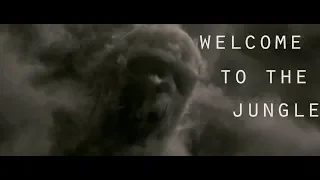 Harry Potter |  Death Eaters | Welcome to the Jungle