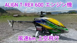 ALIGN T-REX600 エンジン機、風速6m パイロットは、ヘリ今年初の上空飛行