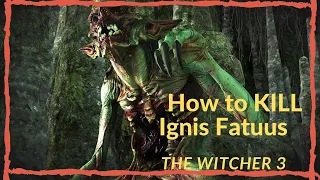 The Witcher 3: Wild Hunt - How to KILL Ignis Fatuus ( Swamp thing )