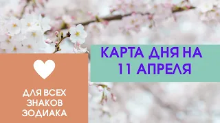 Карта дня на 11 апреля. Таро прогноз для всех знаков зодиака. События дня. Тайм-код.