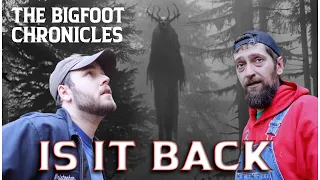 We have activity "The Bigfoot Chronicles"