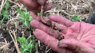 29.04.22 Осмотр полей