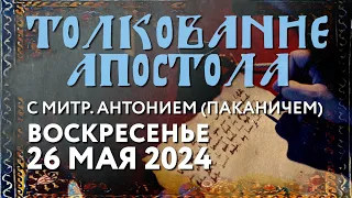 Воскресенье, 26 мая 2024 года. Толкование Апостола с митр. Антонием (Паканичем).