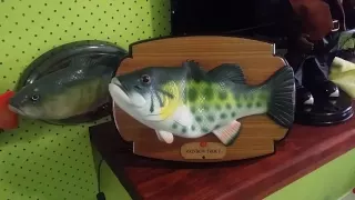 SINGING FISH COMPLATION!