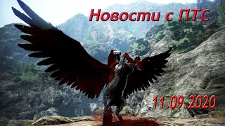 Black Desert online.Новости с птс/Камни на Галеон/Буст персов в ПВЕ/Супер Пегас/Реролл за серебро!