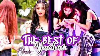 [유채꽃] The Best Of Yuchae 2021 moments| Shin Yuna and Lee Chaeryeong🌙