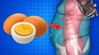 What Happens to Your Body When You Eat 3 Eggs a Day for 30 Days?