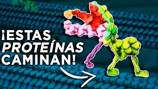 ¿Sabías que tenemos Máquinas Moleculares dentro del cuerpo?