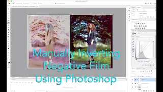 Manually Inverting Color Negative Film Using Photoshop - Advanced