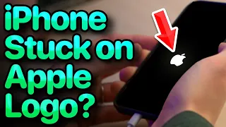 iPhone Stuck On Apple Logo? Here's The Fix!