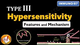 Type III Hypersensitivity Reactions: Main features and Mechanism (FL-Immuno/87)