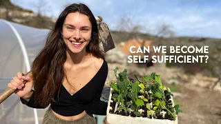 LIVING OFF-GRID in the MOUNTAINS | Abandoned land to self-sufficient homestead | Making a polytunnel