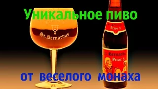 Обзор и дегустация монастырского пива Синт Бернардус Приор 8 (Sint Bernardus)