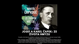 Josef a Karel Čapek: Ze života hmyzu - Audio kniha - mluvené slovo