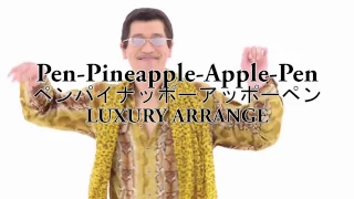 PPAP-Arrange （Pen-Pineapple-Apple-Pen）Adulty version 【mp3】