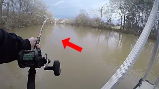 Catching a HUGE Flathead Catfish in a FLOODED CREEK