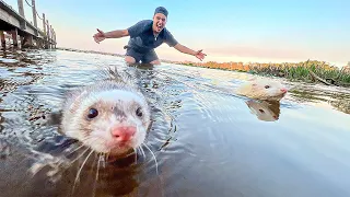 MEUS FURÕES NADANDO no LAGO da CASA NOVA pela PRIMEIRA VEZ