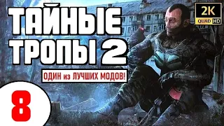 S.T.A.L.K.E.R. 🔥 ТАЙНЫЕ ТРОПЫ 2 🔥 #8 АМУЛЕТ ДРАКОН и ПОМОЩЬ ГРАФУ!