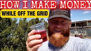 How I make MONEY while OFF THE GRID HOMESTEADING