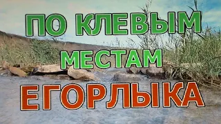 ПО КЛЕВЫМ МЕСТАМ ЕГОРЛЫКА! Ностальгия! Старое русло реки спустя много лет!