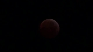 Красная луна или кто потушил луну  21 января 2019