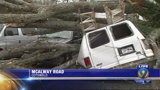 MUST SEE: Van destroyed, vehicles smashed after huge tree falls in Cotswold