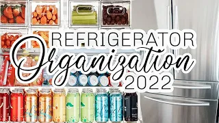 REFRIGERATOR ORGANIZATION | ORGANIZE WITH ME | NEW AIR NUGGET ICE