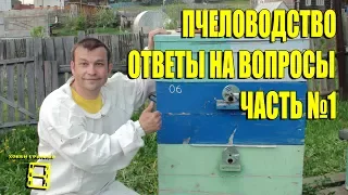 ПЧЕЛОВОДСТВО. №1 ОТВЕТЫ НА ВОПРОСЫ. ПРЯМЫЕ ТРАНСЛЯЦИИ