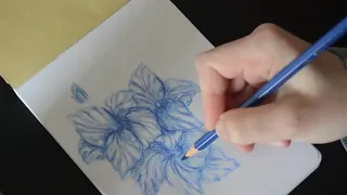 КАК РИСОВАТЬ ЦВЕТЫ | How to draw flowers | цветные карандаши