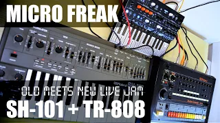 TR-808 + SH-101 + Micro Freak Live Electro Jam