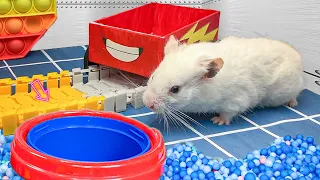 😱 Hamster Escape Maze with Ball Pool - Hamster Cute pets Maze