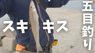 【ちょい投げ】国東で色んな魚が釣れて面白かった件