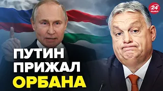 🤯ОРБАН сильно НАКОСЯЧИЛ! В Венгрии выдали ШОКИРУЮЩЕЕ видео @OlegZhdanov