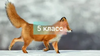 1,2,3,4,5,6,7,8,9,10,11.КЛАСС