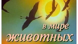 В мире животных с Николаем Дроздовым. Выпуск №41