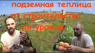 Подземная теплица От строительства до фруктовAn underground greenhouse. From construction to fruits.