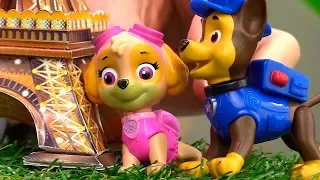 ToyClub шоу - Игрушки щенячий патруль - Гонщик Чейз и Маша