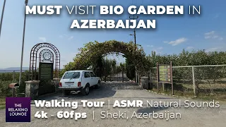 Drive & Walk in MUST VISIT Bio Garden | 4k - 60fps | ASMR Natural Sounds | Tour | Sheki, Azerbaijan