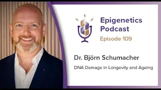 Epigenetics Podcast #109 - DNA Damage in Longevity and Ageing with Björn Schumacher
