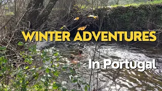 Winter Adventures and a Cold Dip Challenge in Portugal!