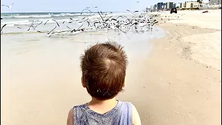 Catching seagulls at the ocean