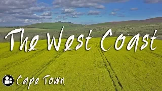 What's in Darling? | West Coast Flower Season  - Cape Town Travel Video