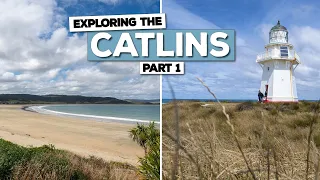 The Catlins are STUNNING! - Exploring the Catlins (Part 1)