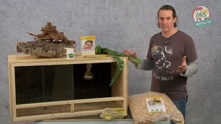 Reptil TV - Folge 75 - DIY Reptilien Holz Terrarium