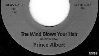Prince Albert - The Wind Blows Your Hair