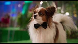 Official Show Dogs Trailer