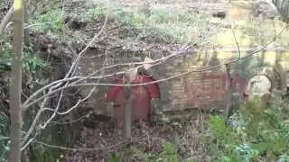 old abandoned coke ovens,  inside tour.