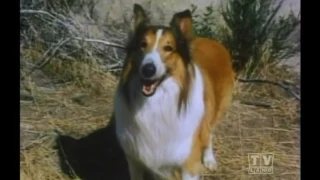 The Holdens Lassie (Season 19 Eps.8 Golden Eagle )